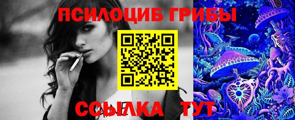 Галлюциногенные грибы прущие грибы Таганрог