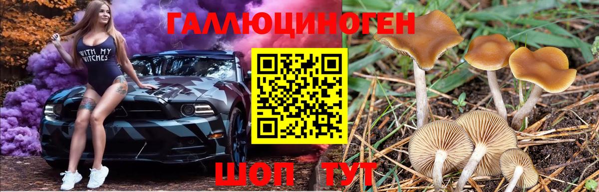 Галлюциногенные грибы MAGIC MUSHROOMS  Вход с VPN  Псилоцибиновые грибы ЛСД  Таганрог 